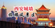 黄色视频图片小说中国陕西-西安城墙旅游风景区